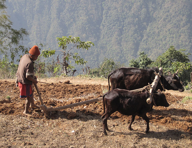 Tools Nepal Top 12 Traditional Agricultural Tools of Nepal